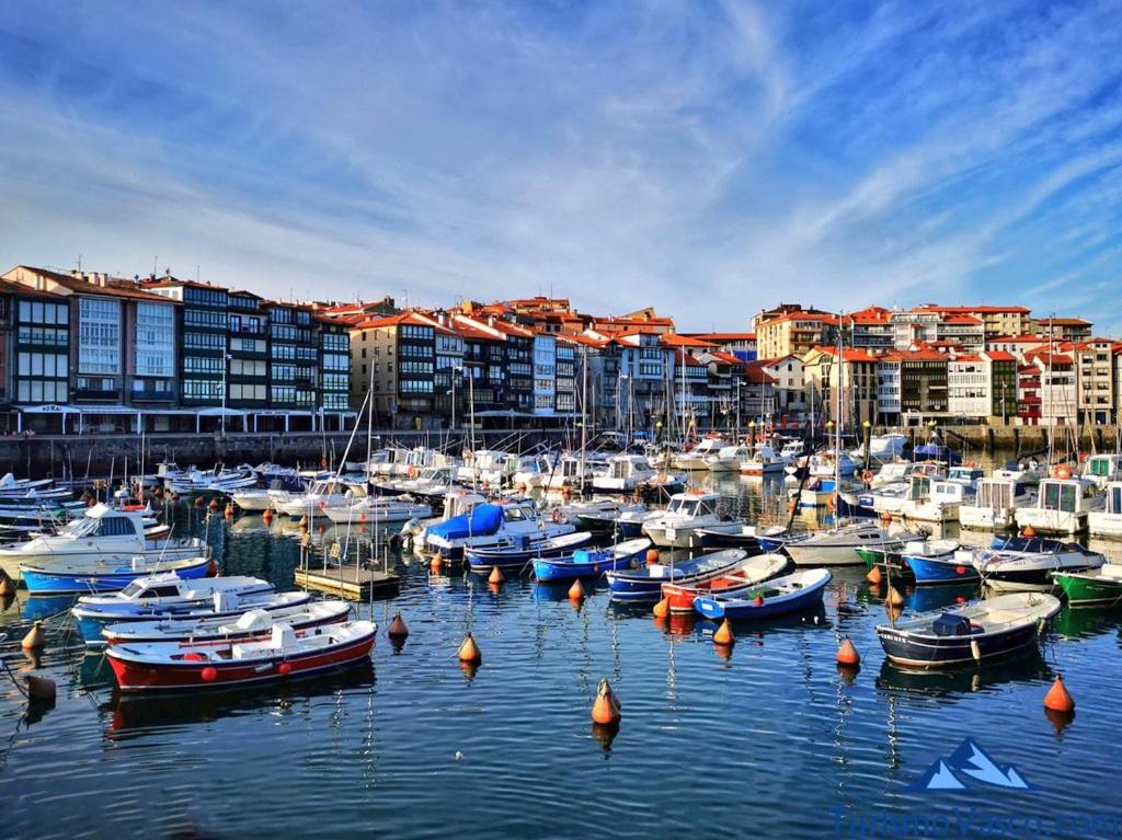 Coqueto Apartamento En El Casco Viejo 雷凯蒂奥 外观 照片